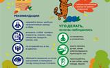 listovki_16